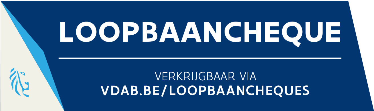 Loopbaanbegeleiding-Loonbaamcoach Oudenaarde-Betaling mogelijk via VDAN Loopbaancheques.Erkend loopbaancentrum Positive Vibes