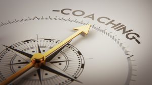 family-business-coaching-oudenaarde-vlaamse ardennen-systemische team coaching voorfamiliebedrijven
