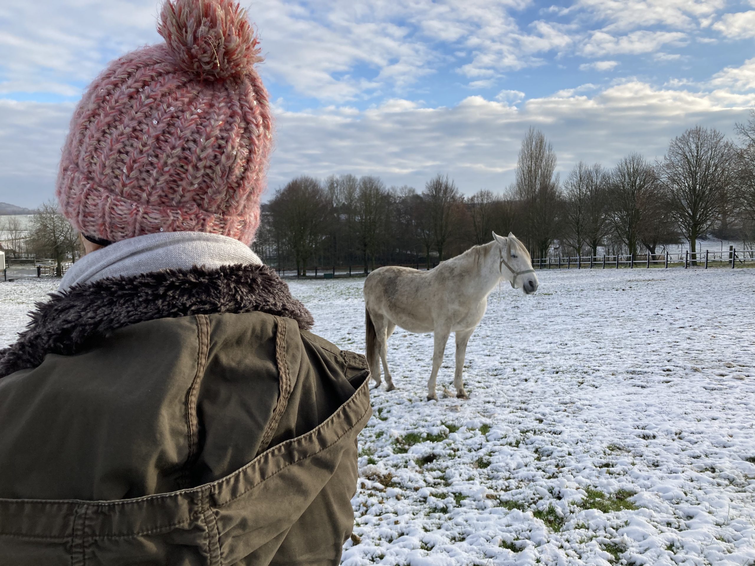 paardeneigenaars-ruiters-coaching met behulp van paarden-HRC- Oudenaarde-Vlaamse Ardennen