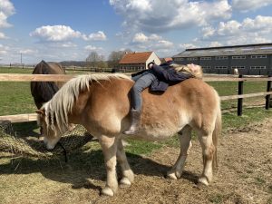 kinder-jongeren-coaching-met behulp van paarden-equicoach-Oudenaarde