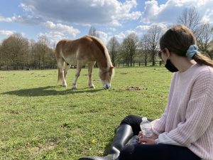 kinder-jongeren-coaching-met behulp van paarden-equicoach-Oudenaarde
