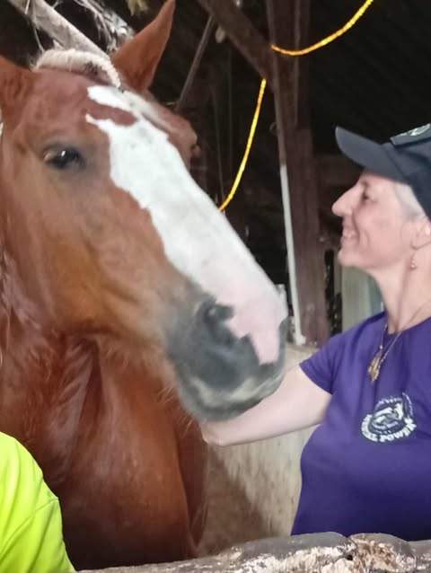 Mieke Spanhove- Trills- Decoder Energy Work